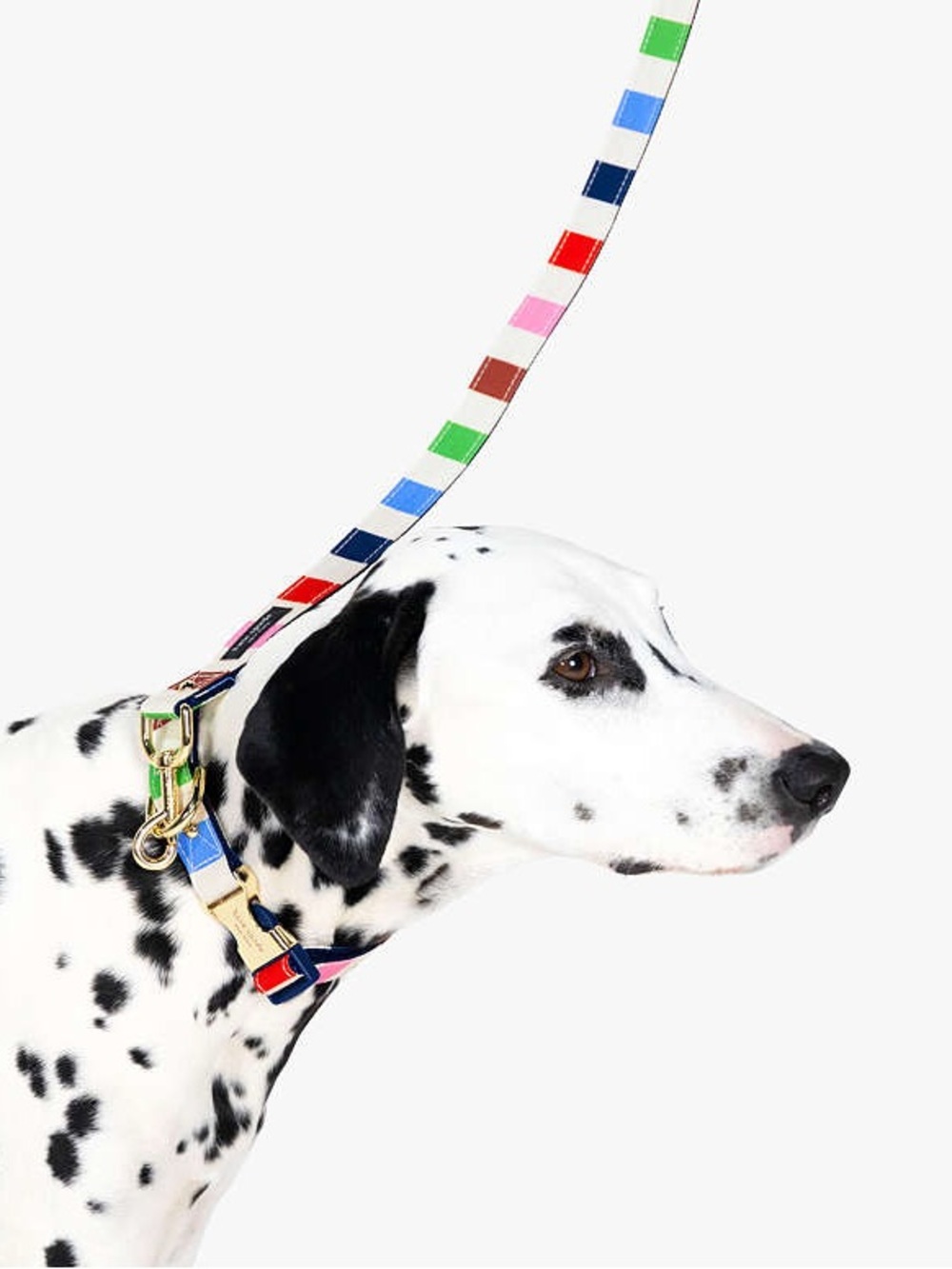 Kate Spade NY Adventure Stripe Dog Collar & Leash Combo - - Picture 3 of 16